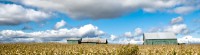 field-house-landscape